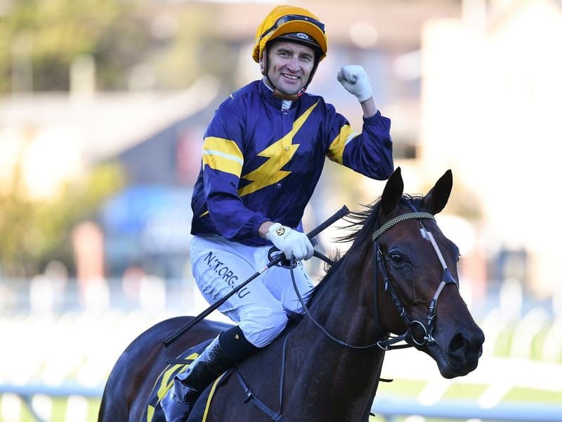 Tofane has denied Pierata a winning farewell with a thrilling victory in the All Aged Stakes. Tofane after winning the All Aged Stakes.
