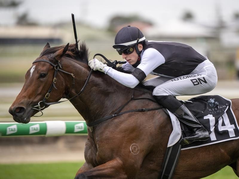 Qld premiership leader Baylee Nothdurft has been suspended after riding three winners at Doomben. baylee nothdurft