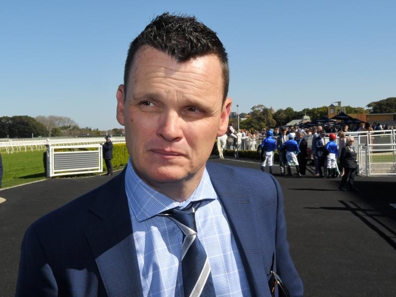 Trainer Joe Pride believes there needs to be an overhaul of open company winter races in Sydney. joe pride