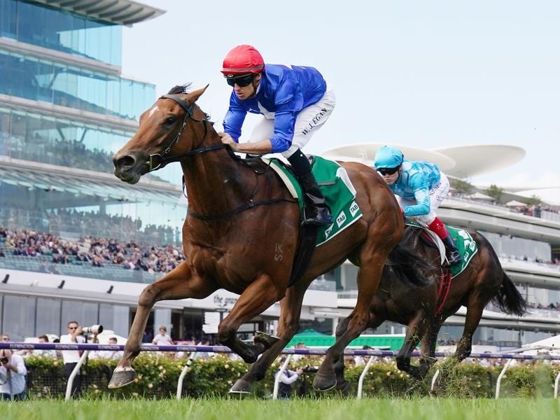 Rubisaki is all the rage for the JHB Carr Stakes at Randwick.