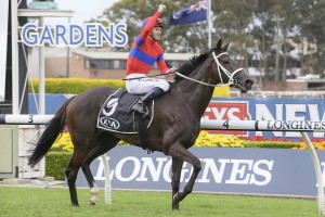 Verry Elleegnt, above, is one of the main chances in the 2020 Queen Elizabeth Stakes at Randwick. Photo by Steve Hart.