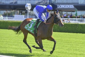 Colette, above, is the favourite for the 2020 Australian Oaks at Randwick. Photo by Steve Hart.