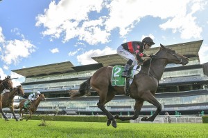 Away Game, above, was rewarded for her consistent form with a win in the Percy Sykes Stakes at Randwick. Photo by Steve Hart. 