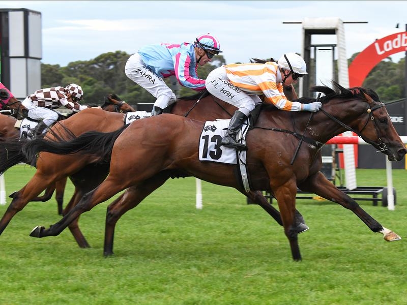 Owner Graeme Ireland is reaping the rewards of a canny yearling sale outlay with Beehunter. Beehunter is an early favourite to win at Flemington.
