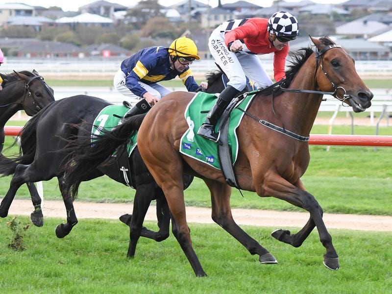 Too Close The Sun wins the Warrnambool Cup.