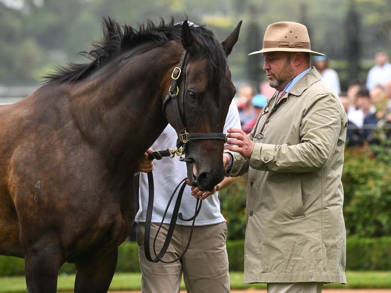 Peter Moody, trainer of undefeated Black Caviar, will make his comeback after a four-year hiatus. peter moody