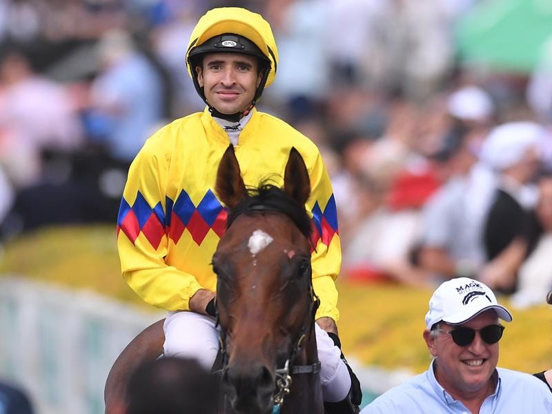 Jockey Michael Rodd is ready to race again after isolation. Jockey Michael Rodd returns to scale after the Magic Millions Cup.