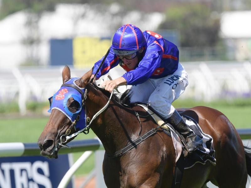 Former Victorian mare Krone will make her debut for new trainer Tony Gollan at the Gold Coast. Krone will contest the Silk Stocking at the Gold Coast.