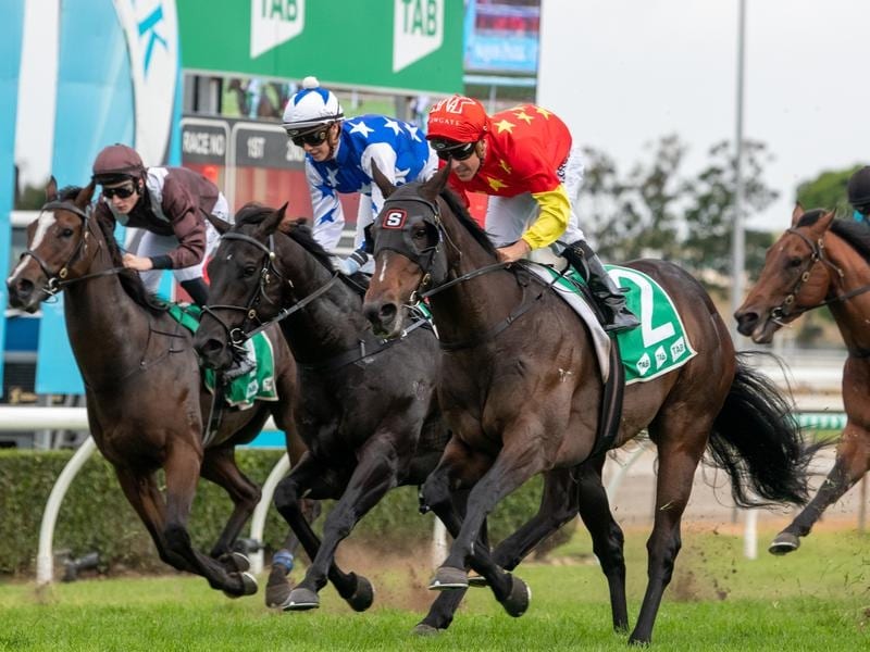 Hightail (right) wins the Group Three Gold Coast Guineas.