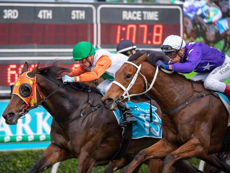 Love You Lucy (left) has upstaged a quality field of fillies and mares to win the Silk Stocking. Love You Lucy wins the Group Three Silk Stocking.