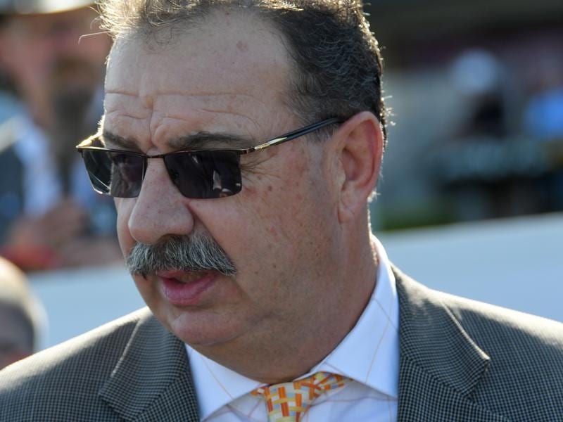 Trainer John Sargent is hoping Elizabeel can close out her season with a city win at Randwick. Randwick trainer John Sargent.