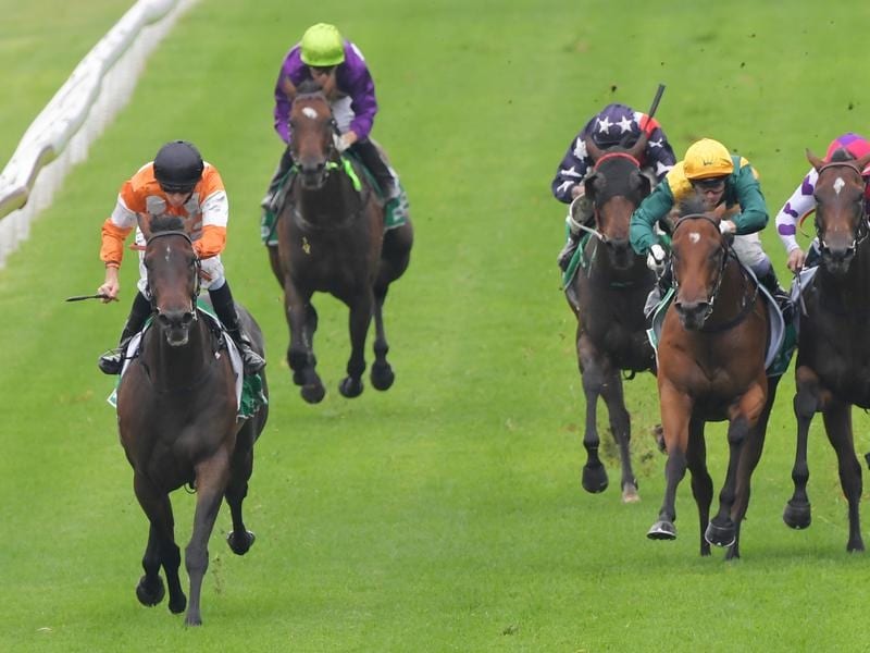 Lashes (left) will have to carry top weight and contend with the outside barrier at Randwick. lashes (left)