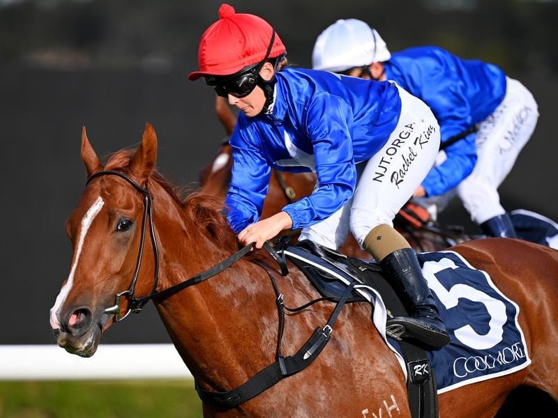Fituese wins the Denise's Joy Stakes at Rosehill.