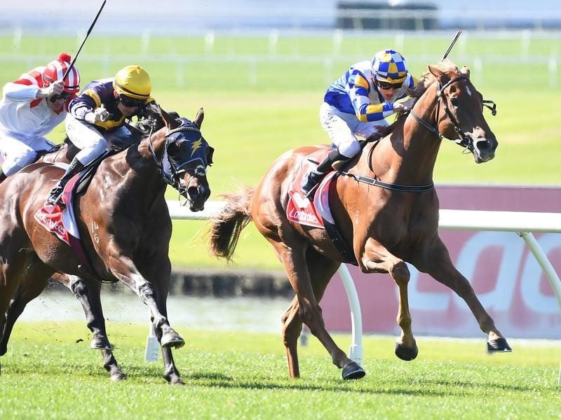 Final Man (r) is shooting for a hat-trick when he runs again on a wet track at Sandown. final man