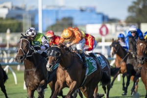 Tyzone, above in the orange colours, storms home to win the 2020 Stradbroke Handicap at Eagle Farm. Photo by Steve Hart.