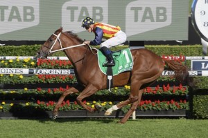 Nature Strip, above, is the early favourite for the 2020 The Everest at Randwick. Photo by Steve Hart.