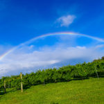 A rainbow set itself across Maffra West during the telecast.