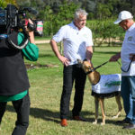 Sale GRC’s Rob Popplestone interviews Buln Buln greyhound trainer Steve White on ‘Thrill of the Chase’.