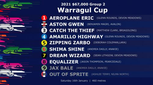warragul-cup-box-draw-1024x576-9-500x280