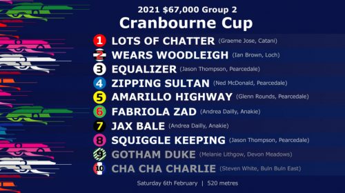 cranbourne-cup-box-draw-1024x576-2-500x2