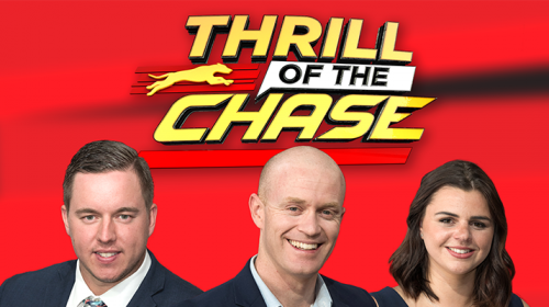 thrill-of-the-chase-greyhound-racing-1-5