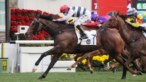 1_20210214_ST_R7_90I6040sk-scaled-2-500x