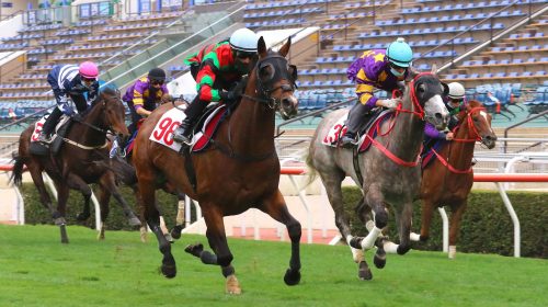 1_20210309-ST-Batch-8-IMGL5250J-scaled-1