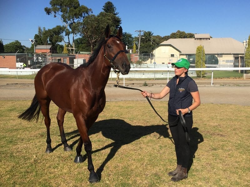 Caulfield Cup-winning mare Jameka