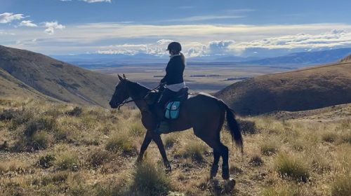 Cavalcade-Jess-Murphy-Blog__ResizedImage