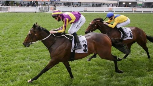 FLEMINGTON_4-3_19771089_2035633_20201027