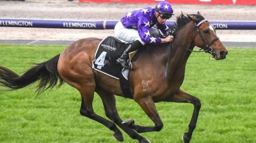 Flemington_Chapada_4-3_18886481_2014035_