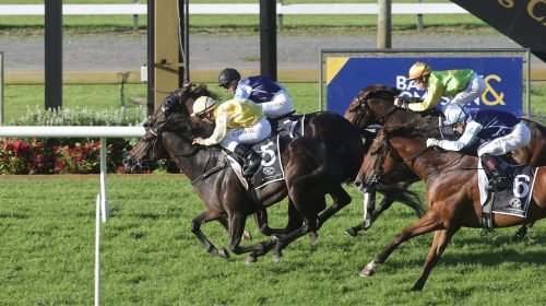 Force-Of-Will-w-8625-002-scaled-1-500x28