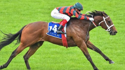 GALLOPS_LIGHTNING_4-3_20231122_2045839_2