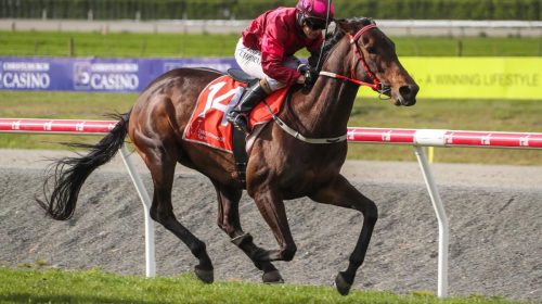 IRISH-GIRL-RACE-IMAGES-SOUTH-PHOTO-500x2