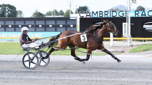 Mia-Ragazzo-Blog__ResizedImageWzYwMCwzND