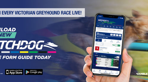 New-Watchdog-Banner_Jan-2021-2-500x280.p