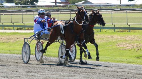 Nutcracker-Nathan-Williamson-Grp-1-Blog-