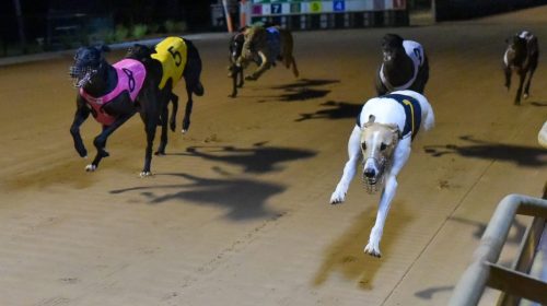 Papi-Go-Fast-7-holds-off-Music-Event-8-i