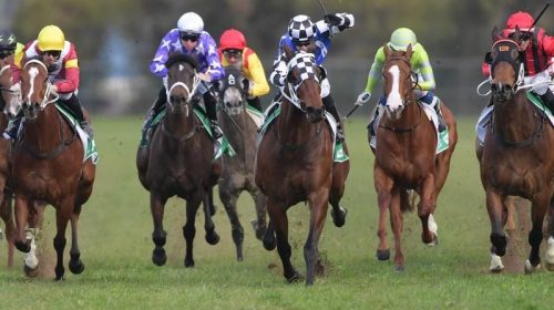 SCoast_4-3_20462496_2051049_202102251502