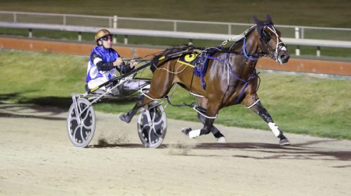 Shut-Up-N-Dance__ResizedImageWzYwMCwzNDd