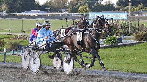 Suzie-Rocks-Blog__ResizedImageWzYwMCwzND