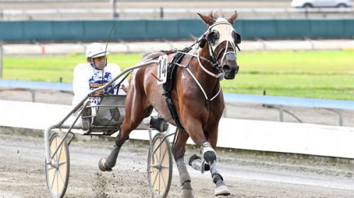 The-Hulk-Blog__ResizedImageWzYwMCwzNzld-