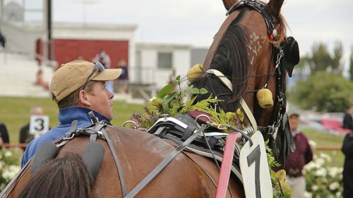 Vintage-Cheddar-Winton-Cup__ResizedImage