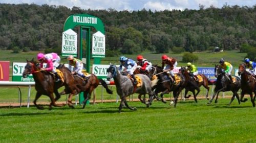 Wellington-races-500x280.jpg