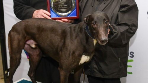 Why-Not-Bazzar-with-Greg-and-Gail-Carter