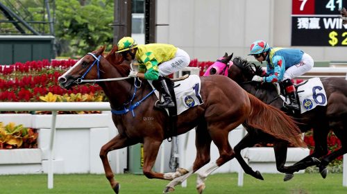 20201001_ST_R5_90I1193sk-scaled-1-500x28