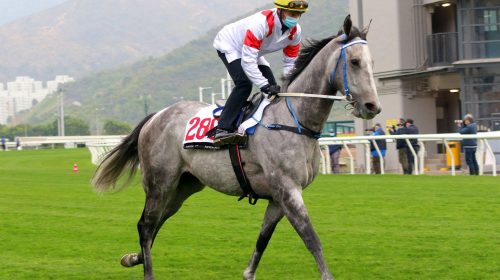 20210323-ST-batch-1-IMGL5858J-scaled-1-5