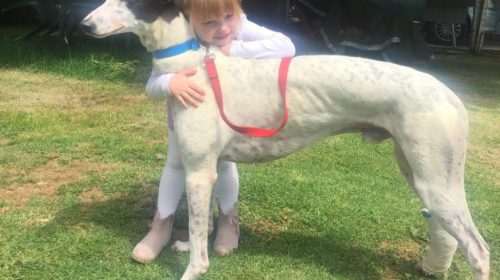 Blackpool-Astro-scarlett-4-1024x785-1-50