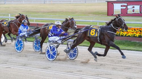 Chinese-Whisper-Blog__ResizedImageWzYwMC