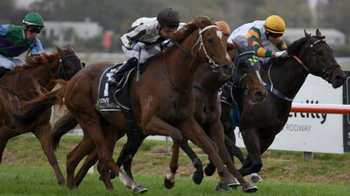 DAYTONA-RED-RACE-IMAGES-PHOT-GRANT-MATTH